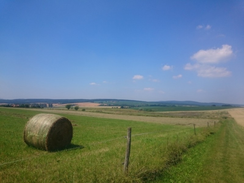 Fussweg zum Zentrum